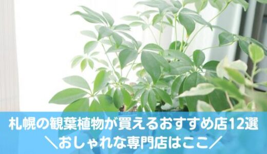 札幌の観葉植物が買えるおすすめ店12選！おしゃれな専門店あり