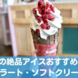 札幌のアイスクリーム